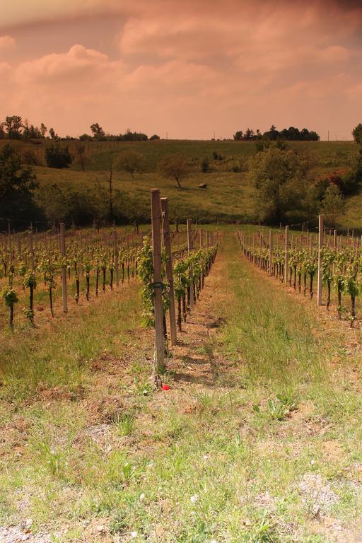 Agriturismo Le Casette كاستلفترو دي مودينا المظهر الخارجي الصورة