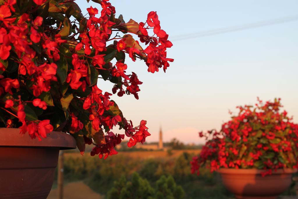 Agriturismo Le Casette كاستلفترو دي مودينا المظهر الخارجي الصورة