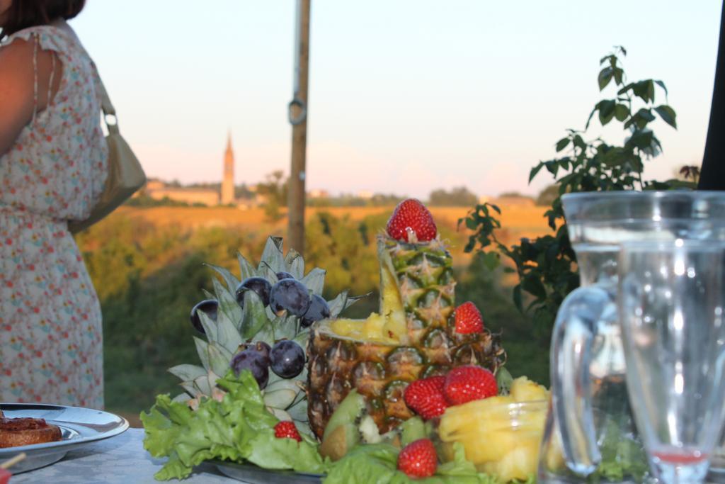 Agriturismo Le Casette كاستلفترو دي مودينا المظهر الخارجي الصورة
